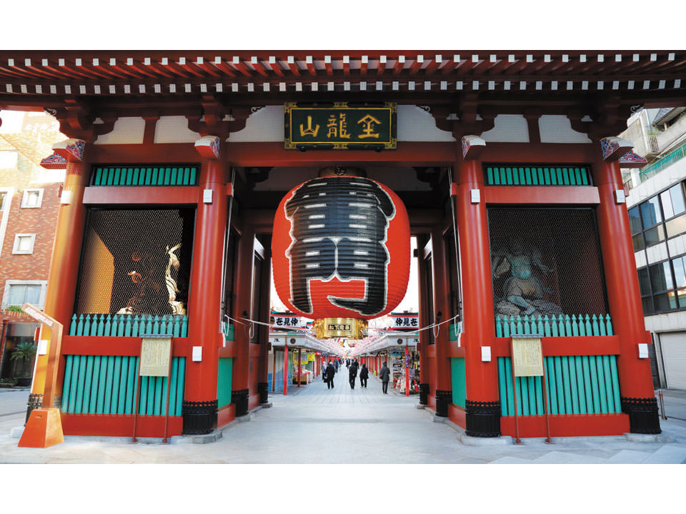 【成田空港周辺~浅草寺周辺】貸切ハイヤー観光プラン <定員4~9名>