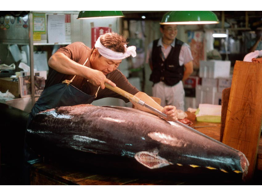 【成田空港周辺~皇居周辺】貸切ハイヤー観光プラン <定員4~9名>