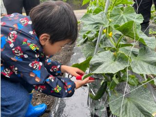 都会では体験出来ない思い出に!