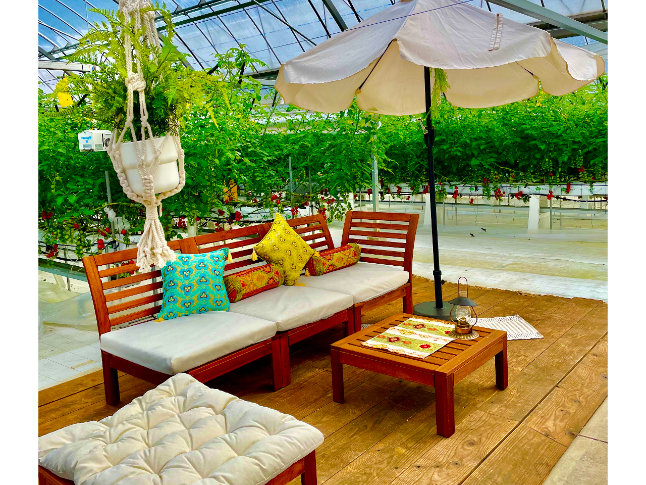 ܂Ń][gInEX̒Ƃ͎vȂʂȋԂŁA1Pg̑ݐ؃g}g