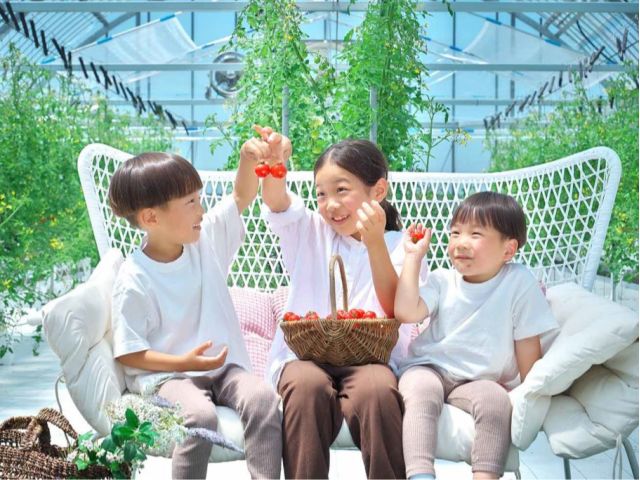 思わず笑顔になる!トマト狩り♪