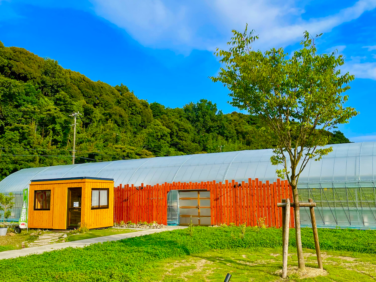 ΂Ɉ͂܂ꂽ厩R̒ŁI 