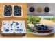 摘み取ったブルーベリーは量り売りしています(^^♪摘み取ったブルーベリーをパック詰めしてお土産としてお持ち帰りや直送もできます!