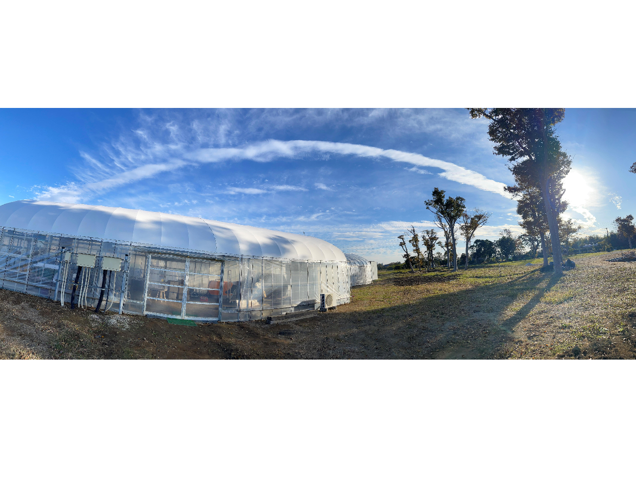 【2026年1月新OPEN！】じゃらん限定いちご狩り30分最大4品種食べ放題♪三...