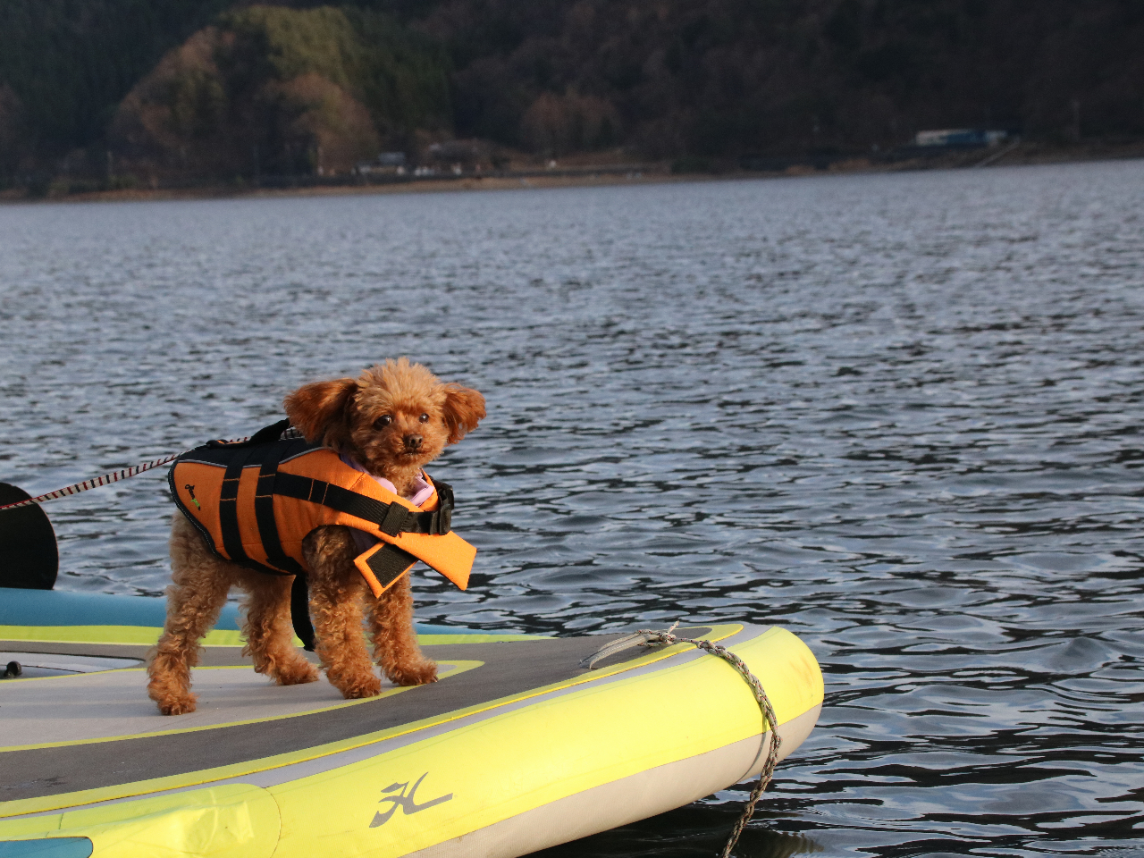 レンタル】MIRAGE ITREK FIESTA(4人乗り大型ボート)家族・グループ