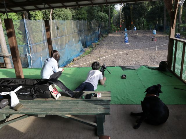 たまに看板犬がのぞき見しに来ます