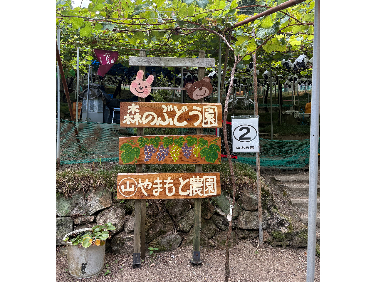�Ԃǂ����͎ΖʂƂȂ��Ă���܂��B�����₷���C�ł��z�����������ˁB