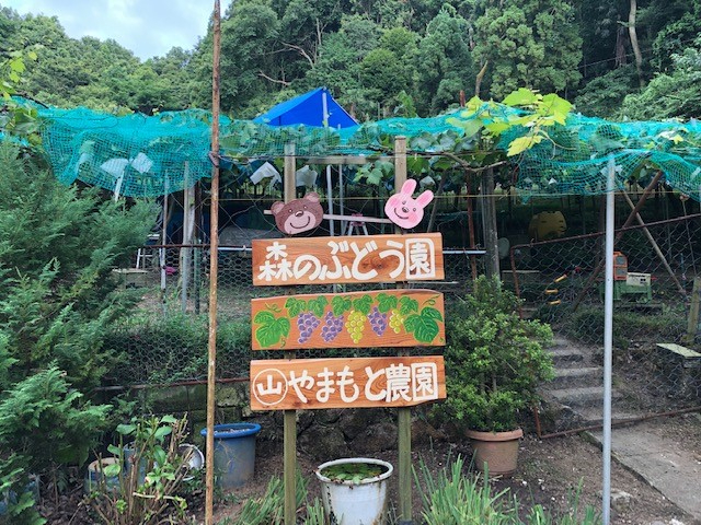 �Ԃǂ����͎ΖʂƂȂ��Ă���܂��B�����₷���C�ł��z�����������ˁB