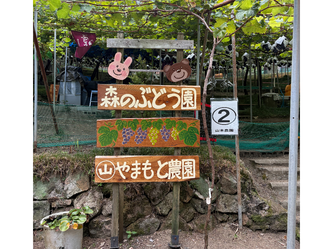 �Ԃǂ����͎ΖʂƂȂ��Ă���܂��B�����₷���C�ł��z�����������ˁB
