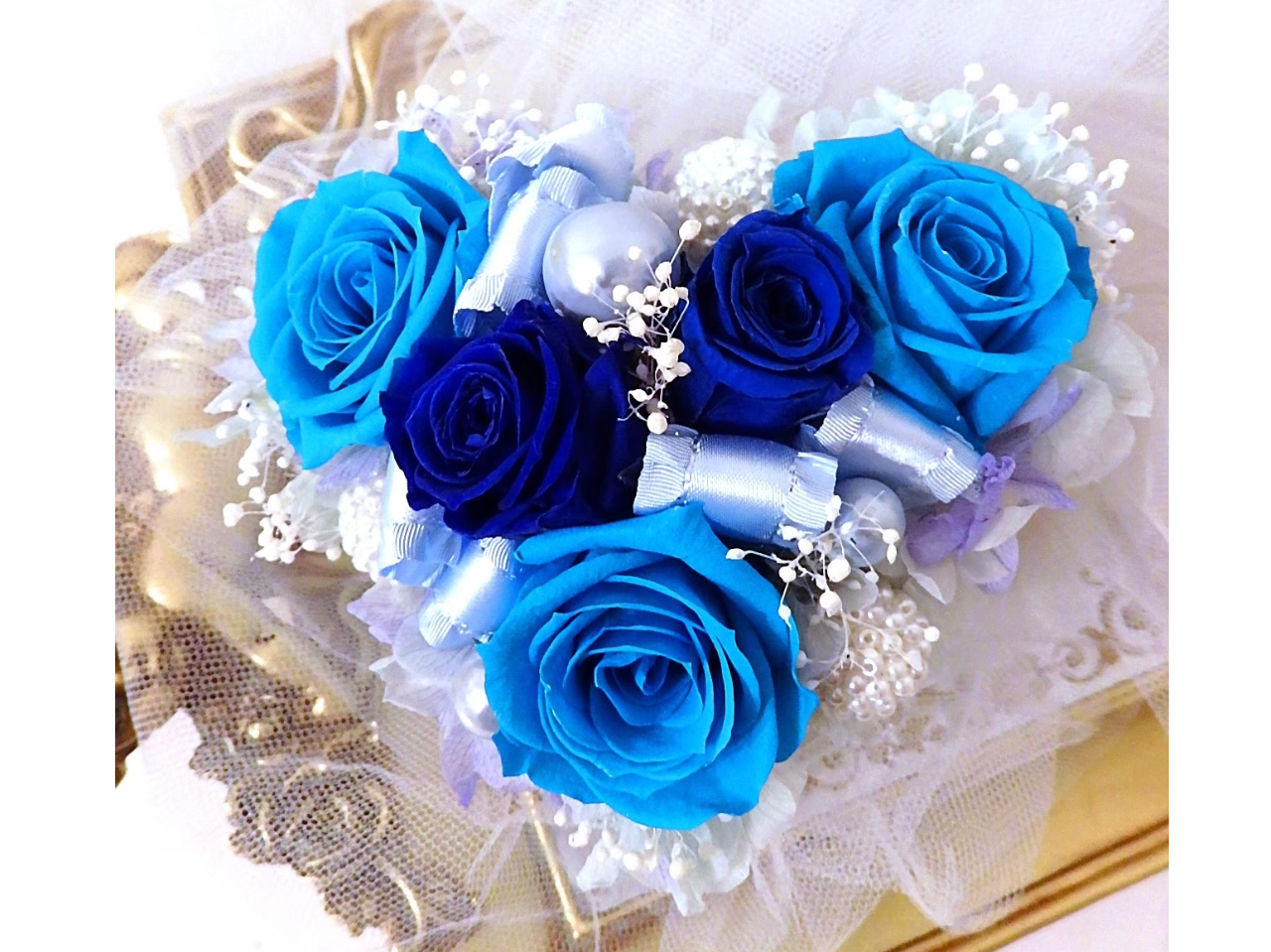 �D�u���[