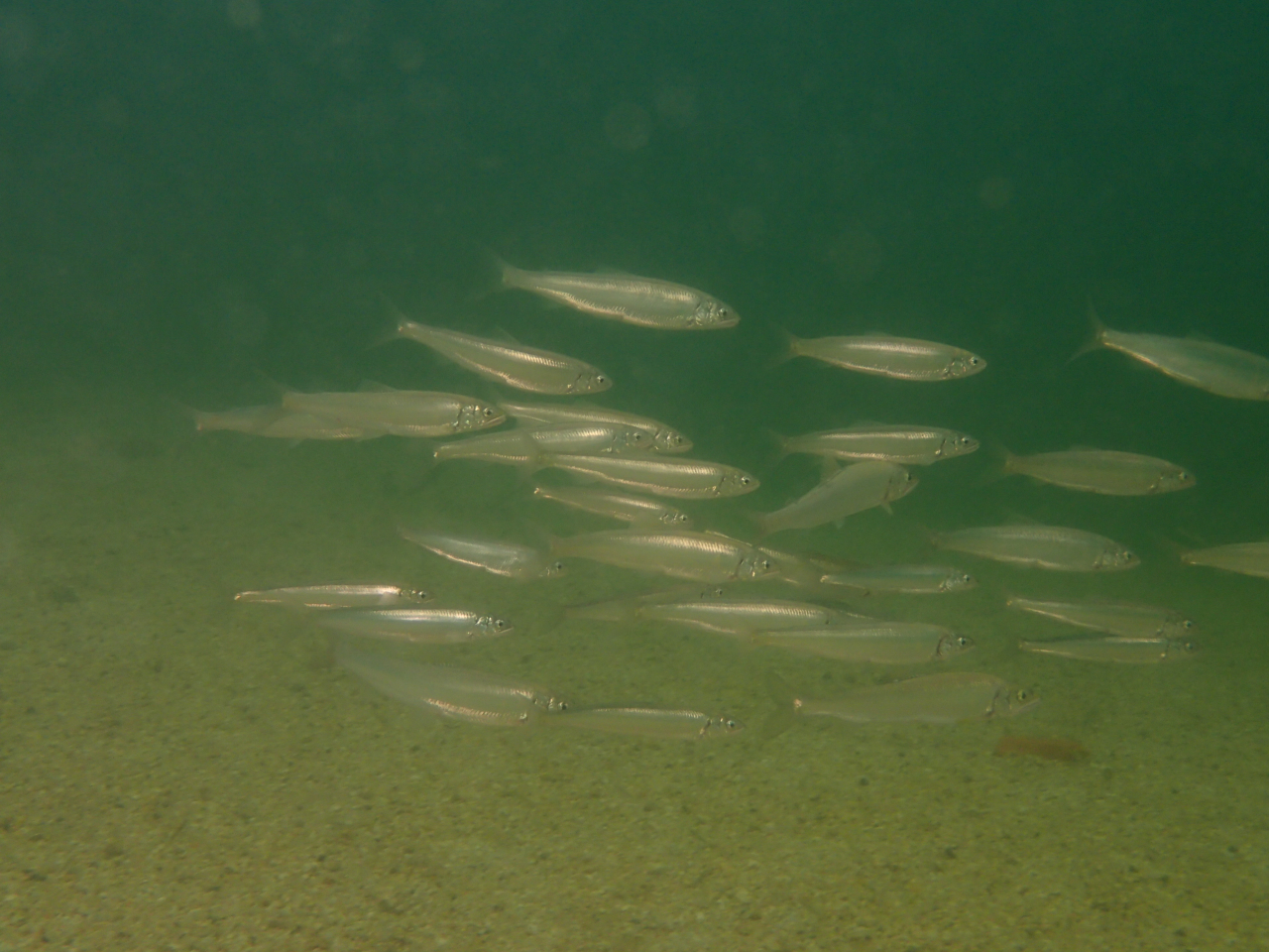 xocOIǰQɏoƂ΂΁t[^C͈SSɐTSs܂ŊyI