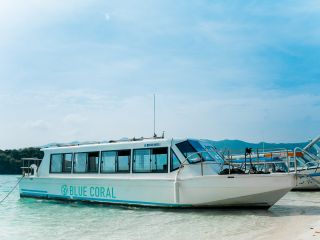 グラスボートは濡れずに、座って海の中を楽しめるお手軽ツアーです♪