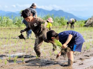 手植えの田植え体験の一コマ