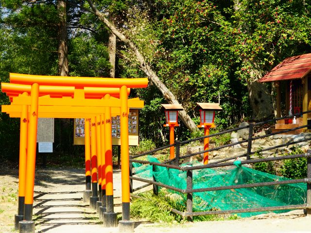 全国から猫ファンがやってくる猫稲荷。