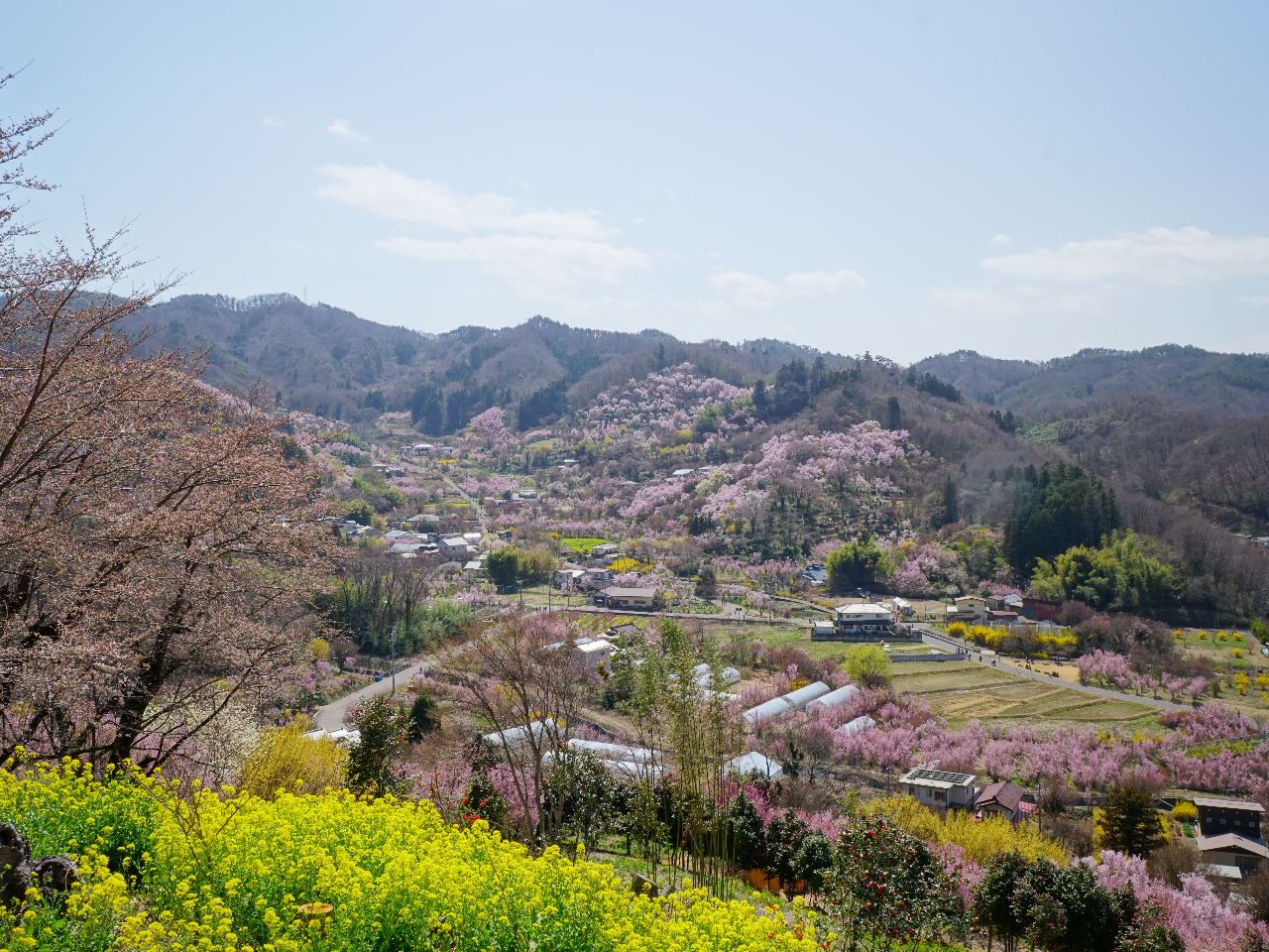 福島市では四季折々の風景を楽しむことができます。