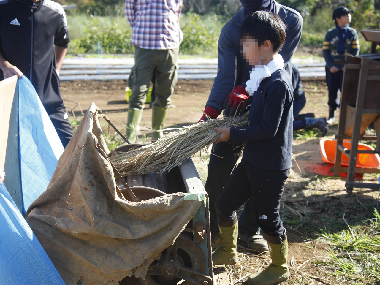 ݒE@iK[Rj̓Y悭ނ̂|CgI