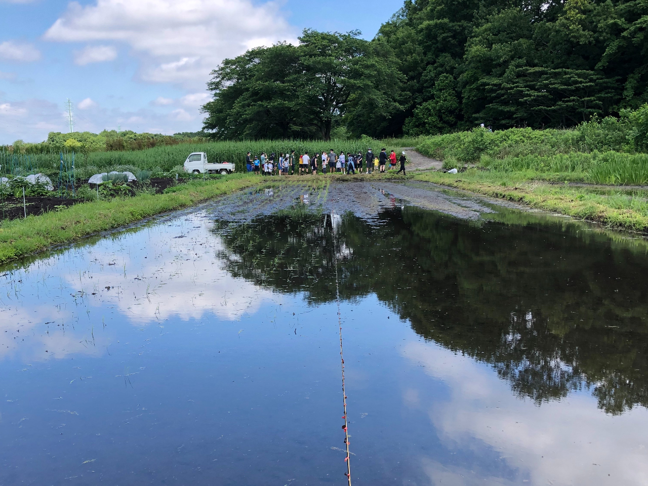 �c��ڂɓ����I���ɉ����ēc�A�����s���܂�