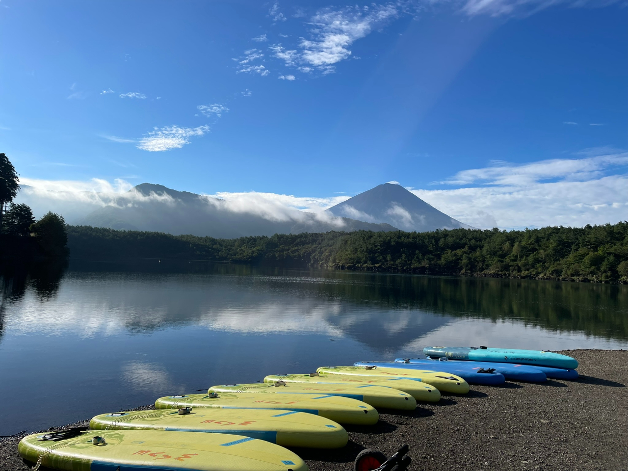 ���N���́�