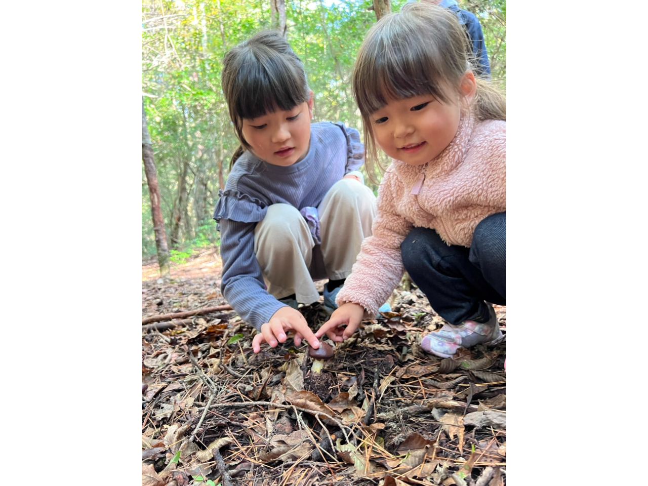 ファミリーでも♪神秘の森「青木ヶ原樹海」を五感を使って楽しんじゃおう!!