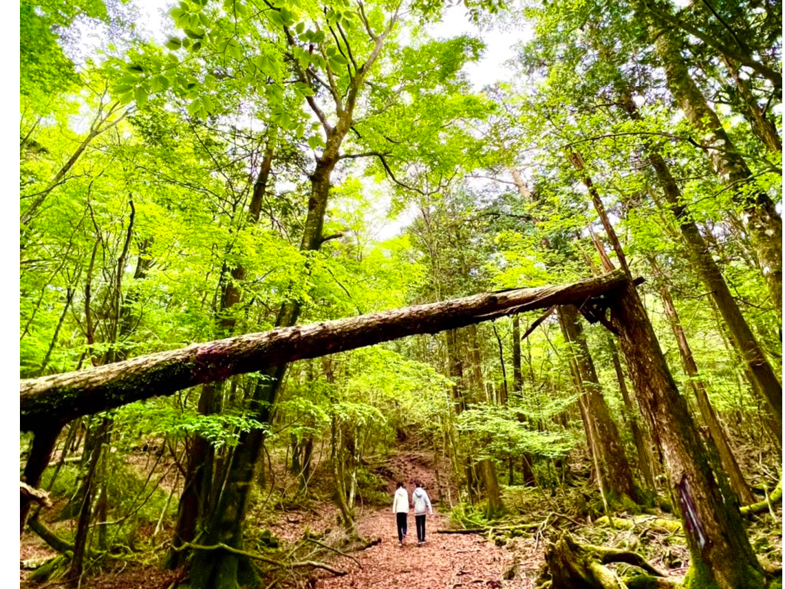 킸ƒmꂽu_̐X@؃Cv̂тU􂵂Ȃ炨ʐ^^^