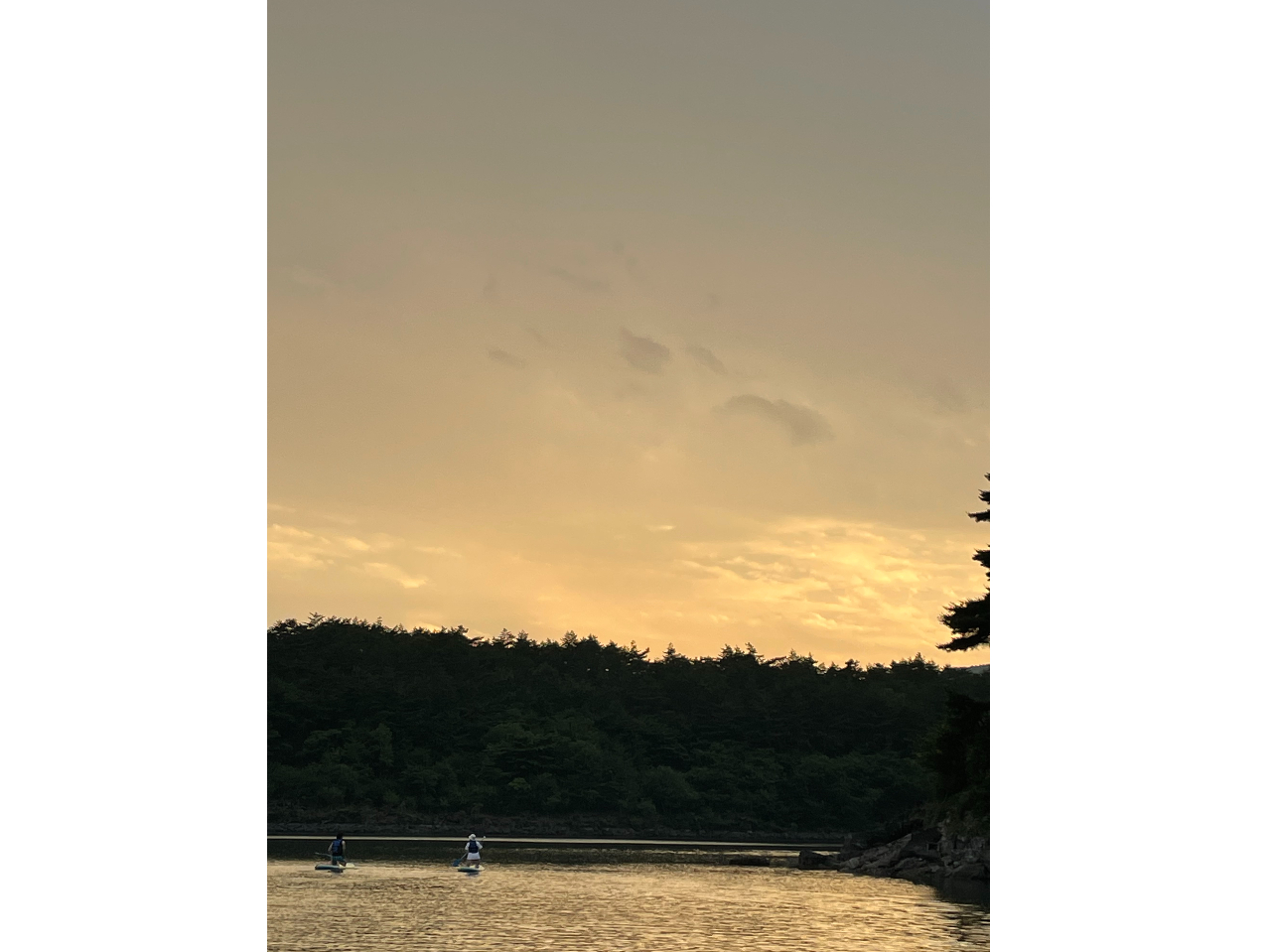 w_̐XCxƁwΐ΁xăTZbg^C~O΍ō̎Ԃy߂܂II