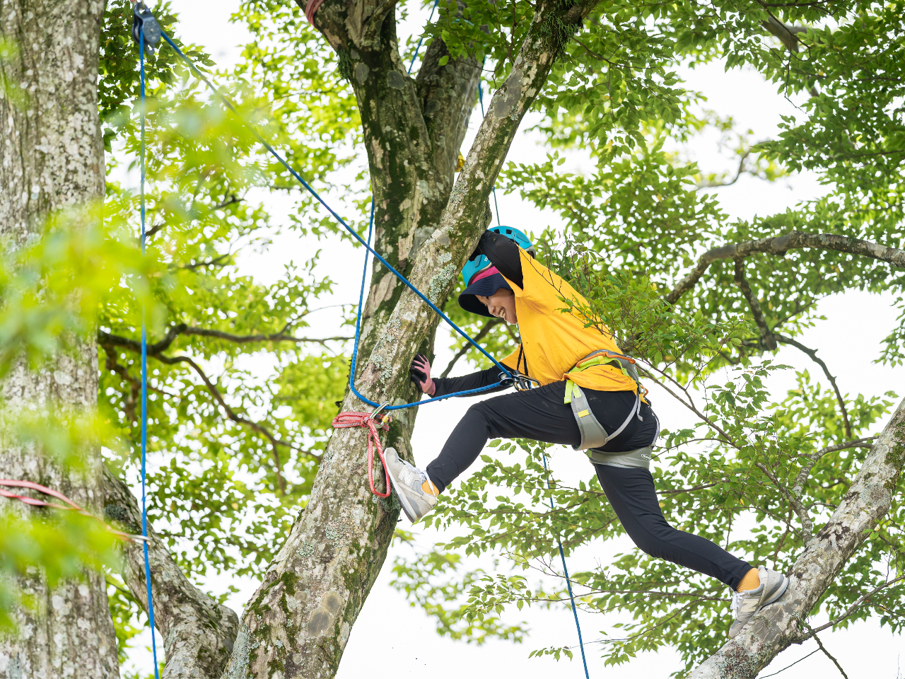 lł̃`W͂A`[ƂĂ݂Ȃŋ͂ڕWBĂ炢܂I