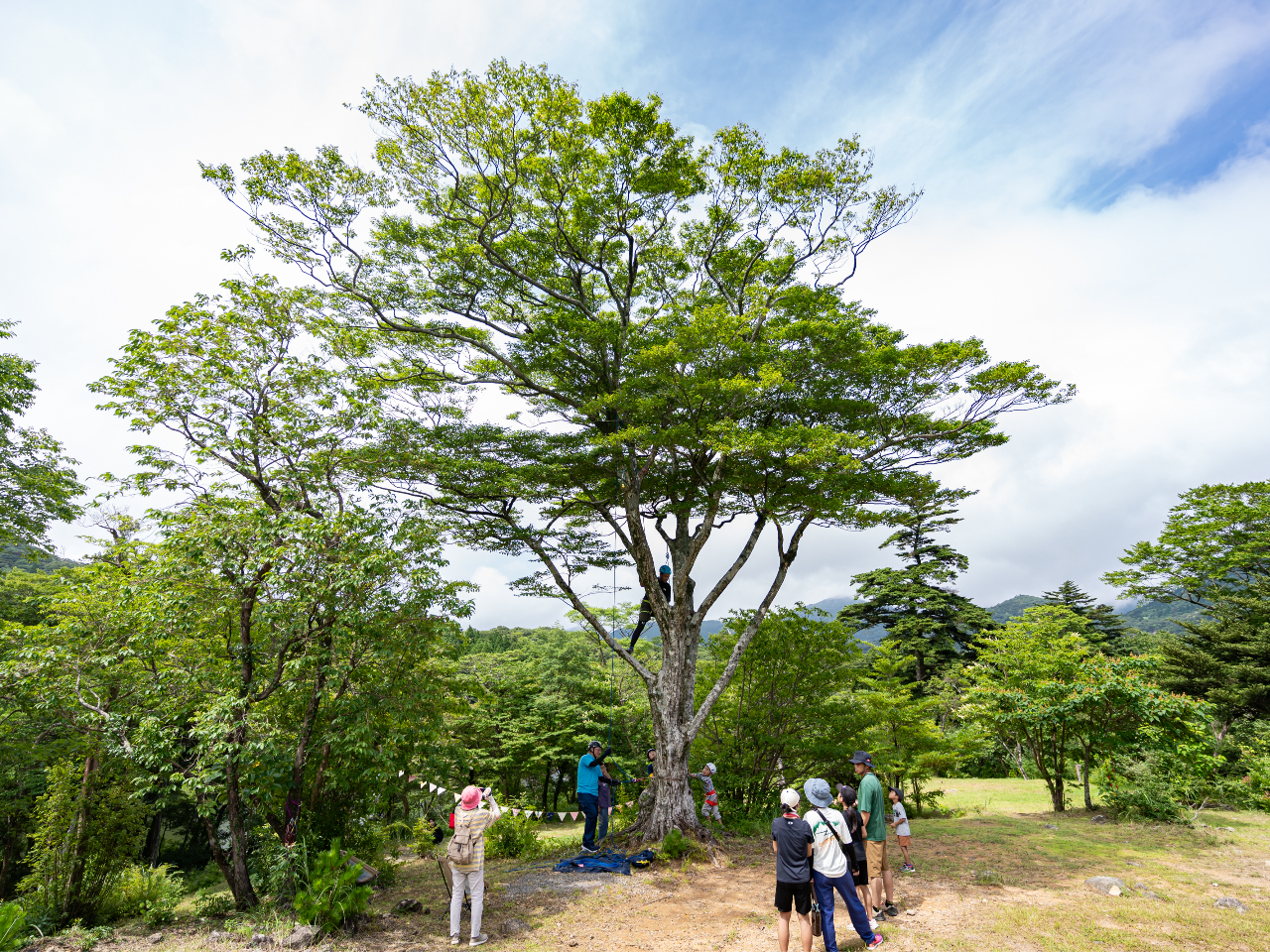 CuI[vgĖ؂̏ɗAiƒBƂ߁I