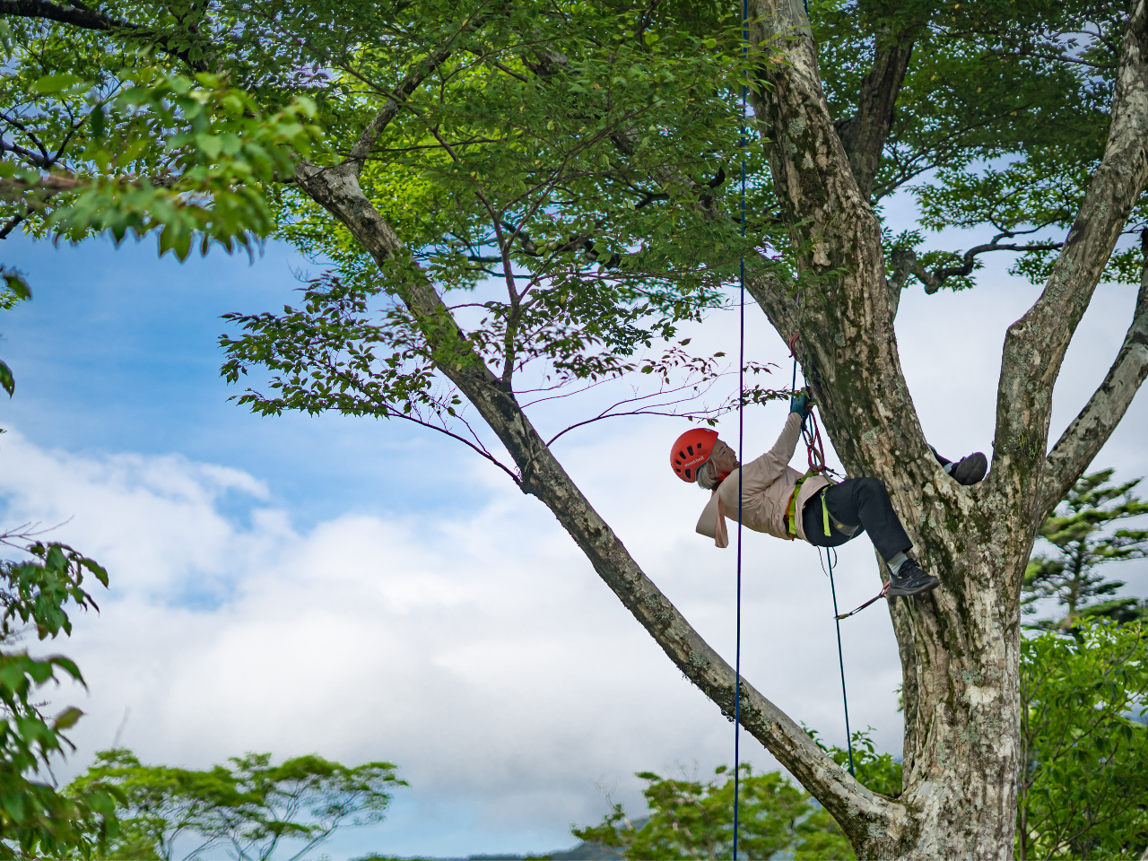 ʂȋZp͕svIlqǂA{iMAƈS΍ňSĊy߂󒆎UB