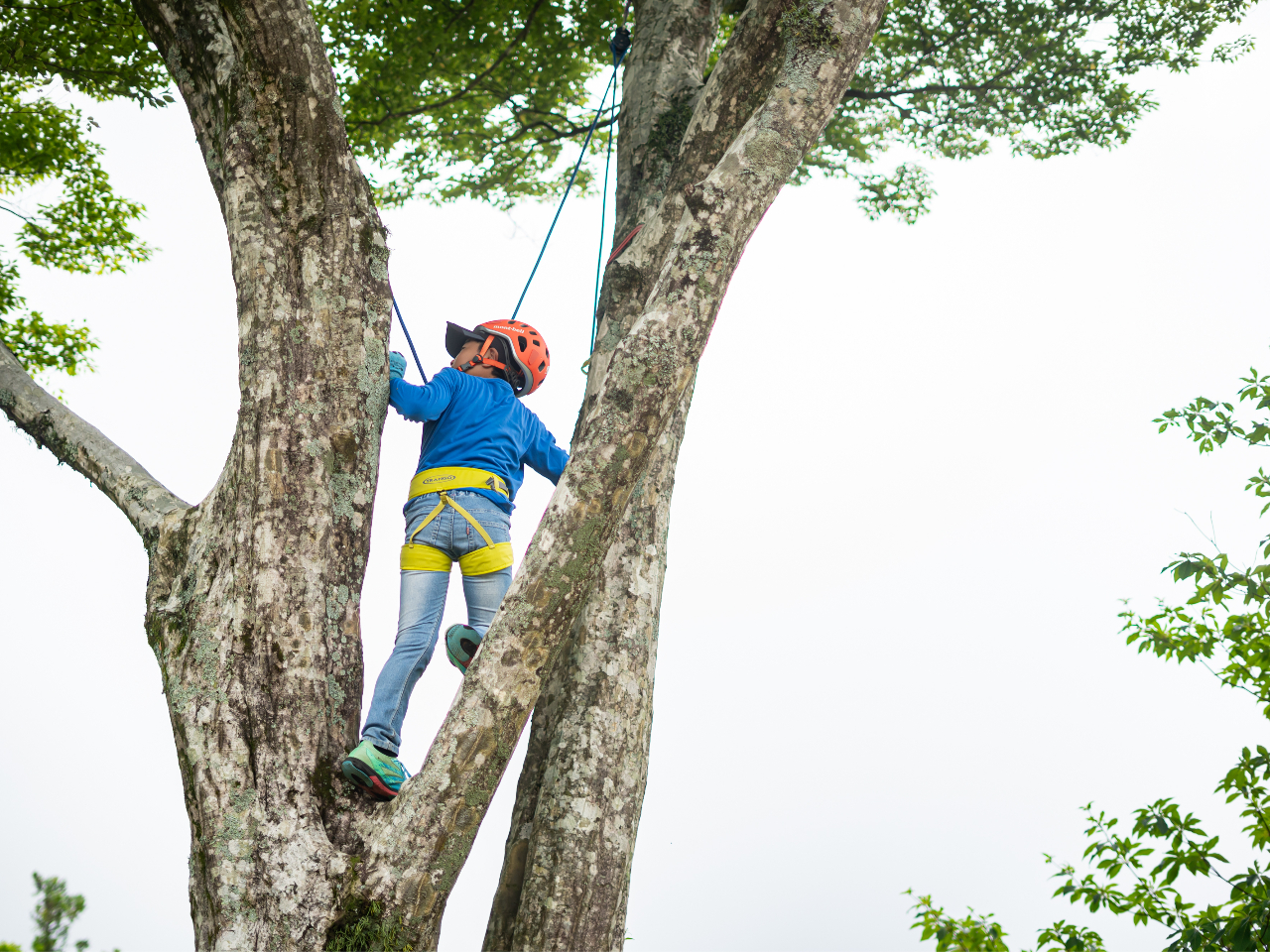 S҂̗͂ɎMȂAqlłCyɒłASɊy߂ANeBreBł