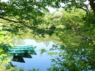 昔から自然好きな地元の人の憩いの場「白雲の池」をガイドと共に散策するツアー