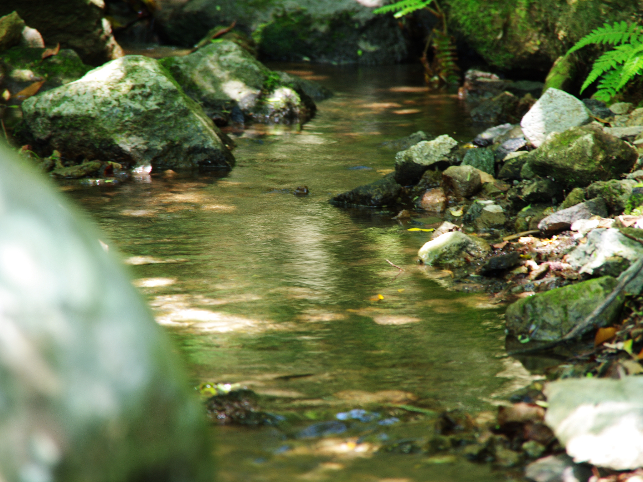 ƐÂɒ̐␅̉ẢɎXX|bgłB