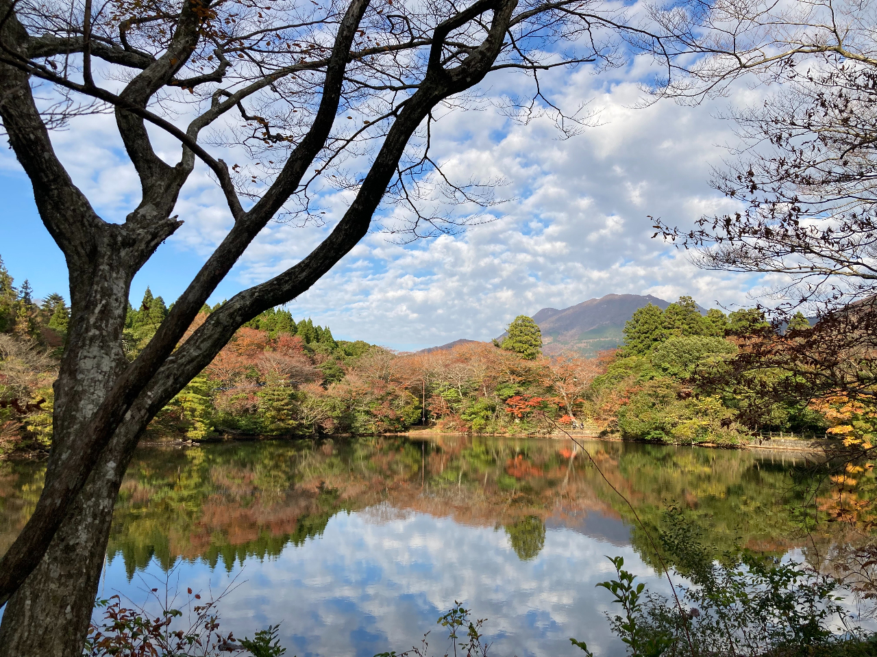 쒹̂qOV̖AV΂ɍgtȂǁAlG̈ڂ肩𖡂킢Âт肨Uy݂B