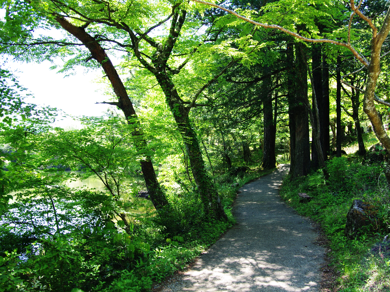 500m̔_̒rӂÂт쒹⑫̐Åώ@Ȃ珄ƂԂy݂UcA[B