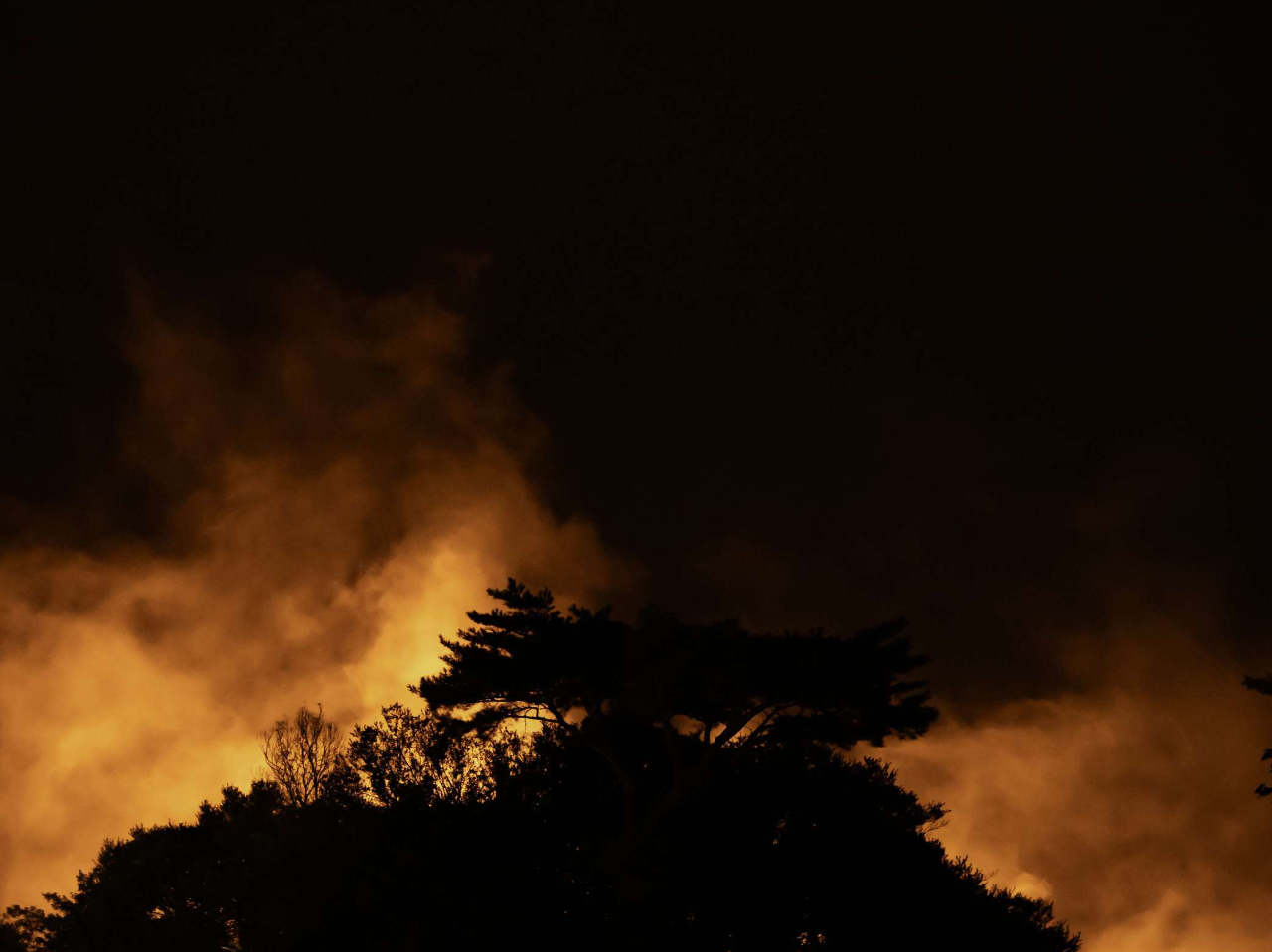 ��̌��z�I�ȕ��͋C�̒��A�n���̈ڂ�ς���̊��ł���̌��ł��I