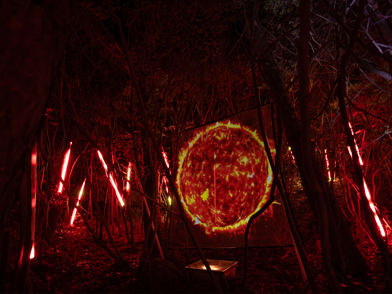 �v���W�F�N�V�����}�b�s���O���g�������̉��o�ł�