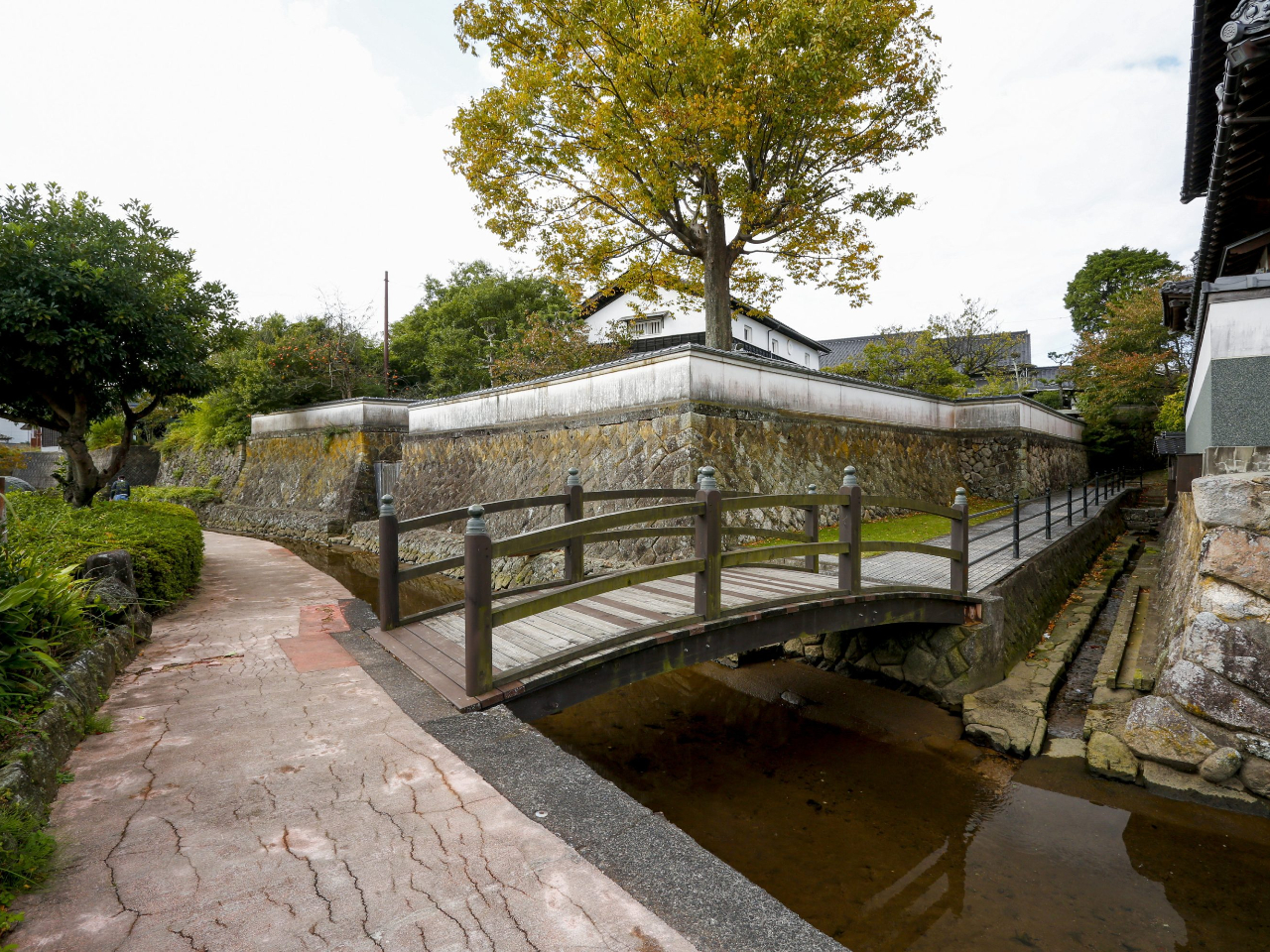 aF̂̐Ί_▯Ƃ̑Dꂪc