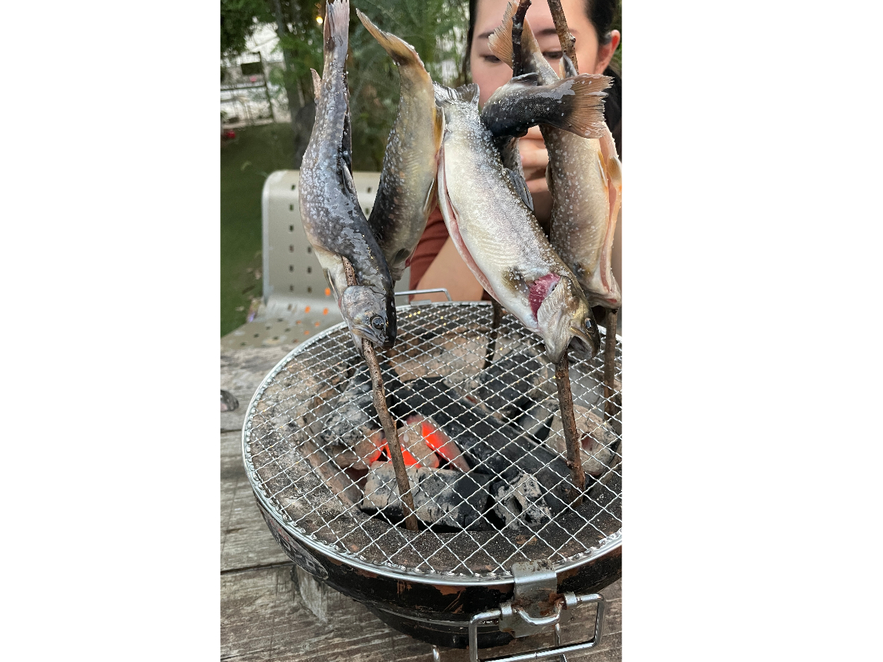 o[xL[̑햡B{̐HނVvɁAHޖ{̖𖡂킦܂I