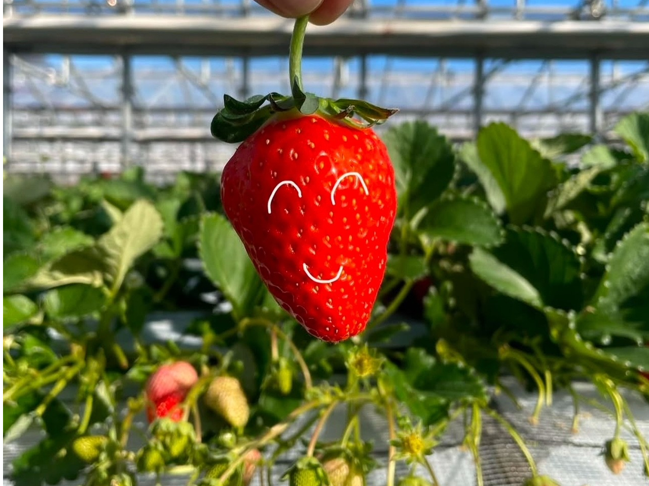 �^���ԂŊÂ������v�킸�C�`�S�������j�R�j�R��