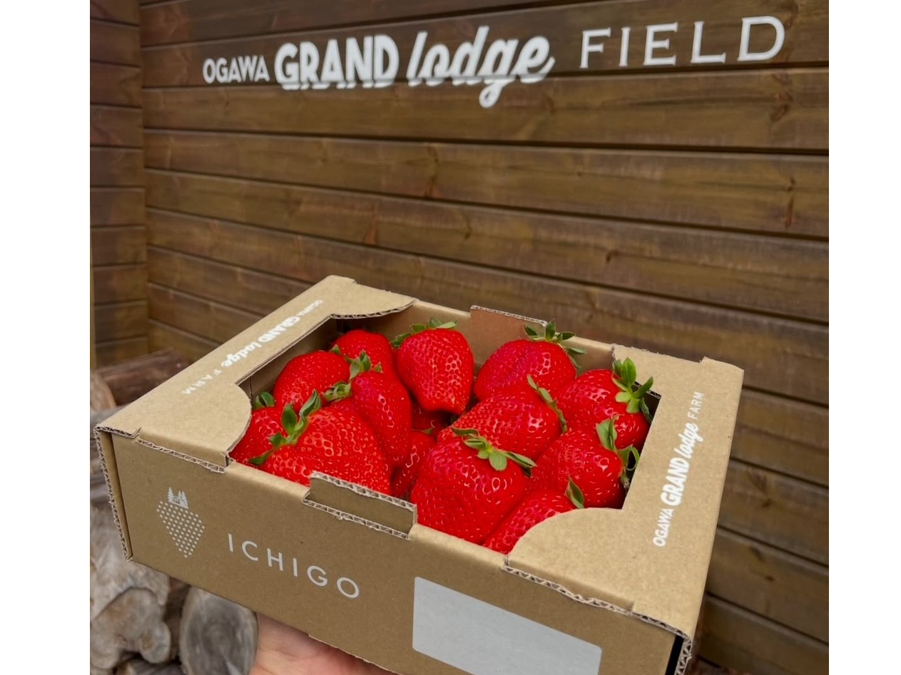 ���y�Y�̃p�b�N�̔��A���̔�������܂���