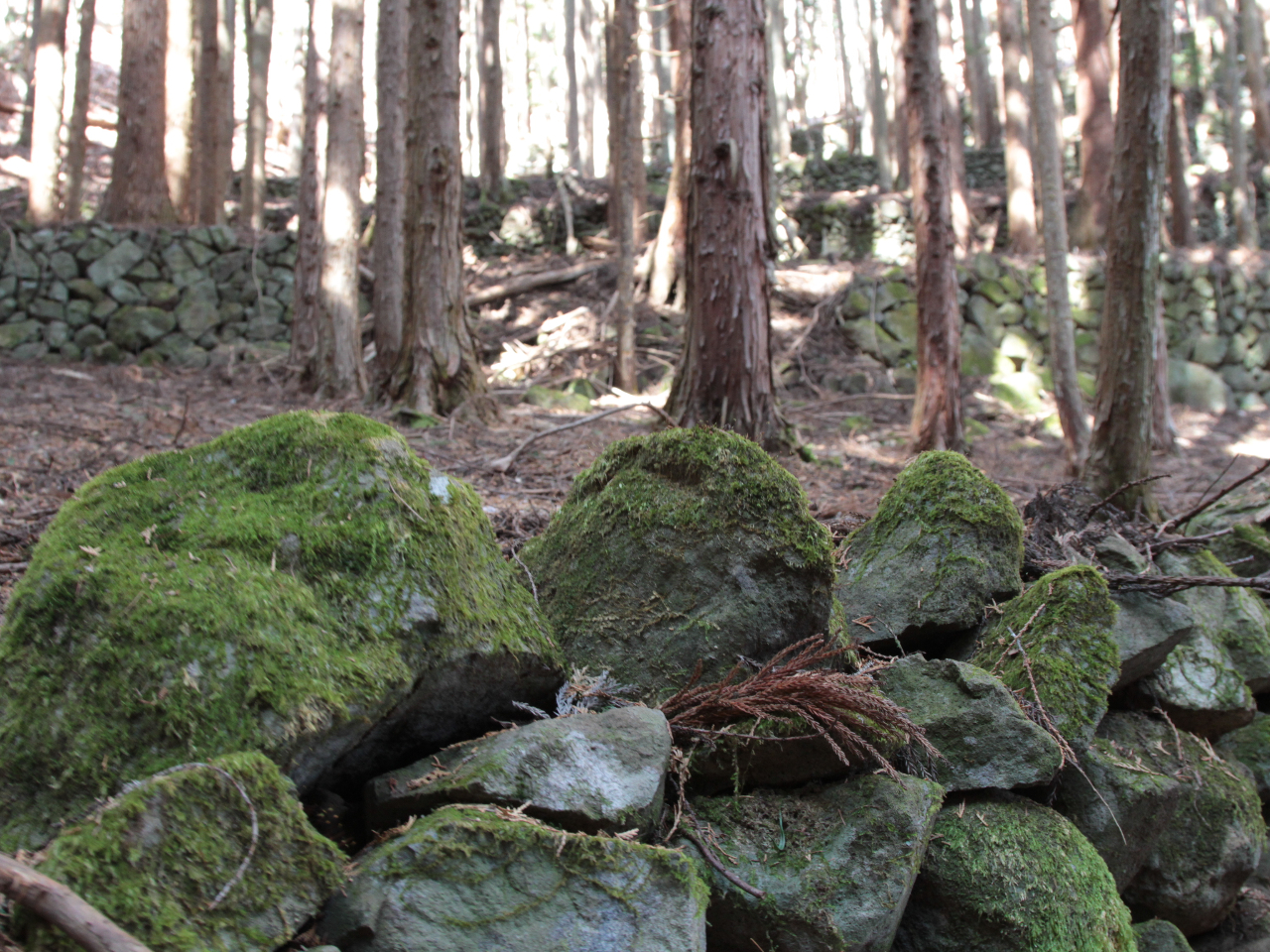 ̐ΐς݂̒iXBɏɍĂiXo邽߂̒mb_Ԍ邱Ƃł܂B