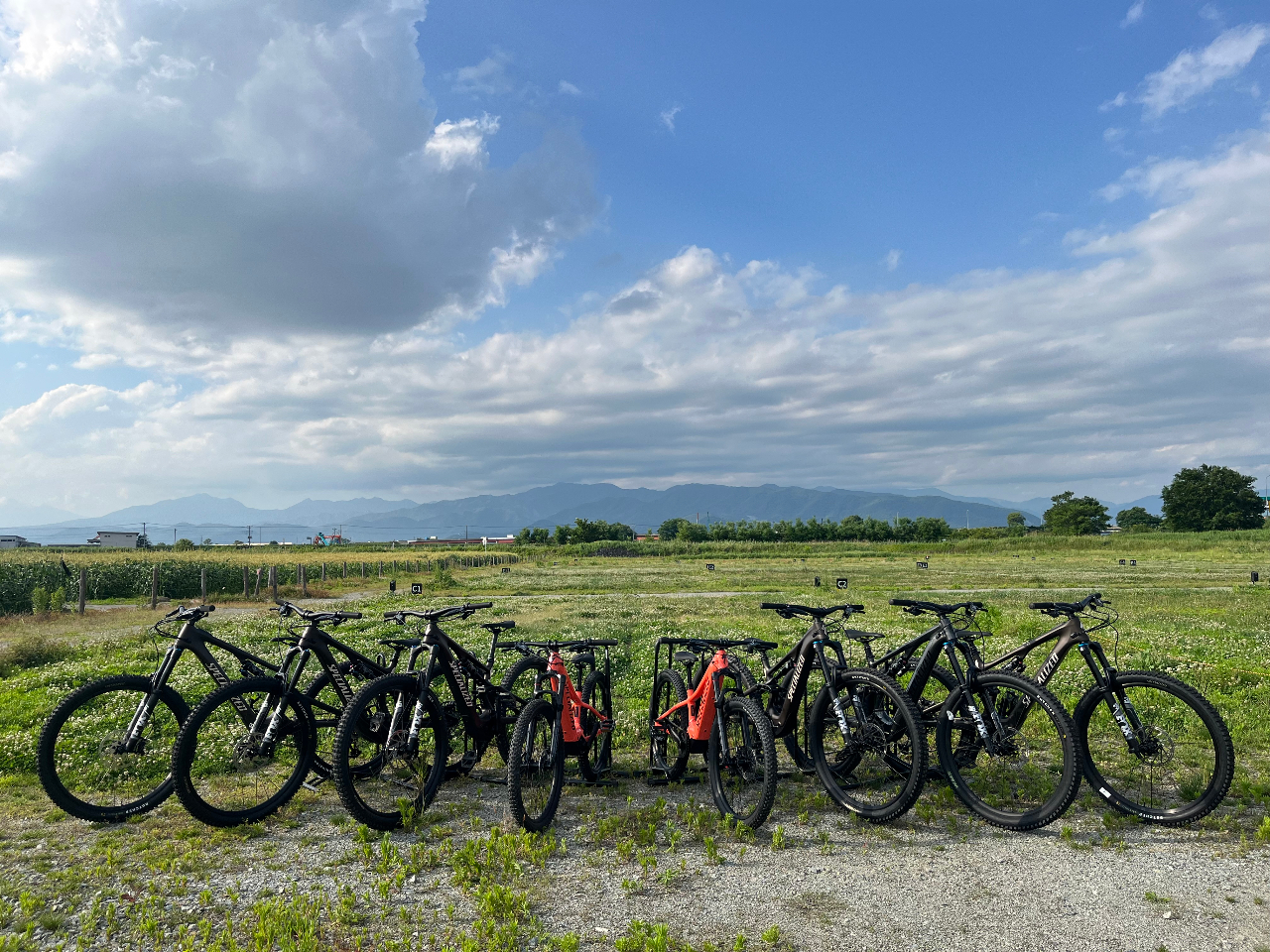 ŐVE-MTBid@t}EeoCNj݂oĂ܂B}EeoCN߂Ă̕ɂSĂ肢XLuKs܂B