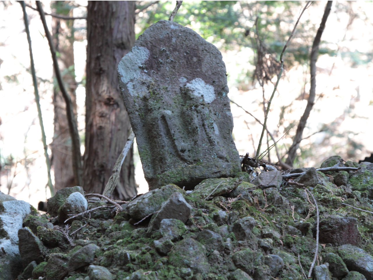 ́AÓĂlX̎v߂ꂽuΕQv邱Ƃł܂B