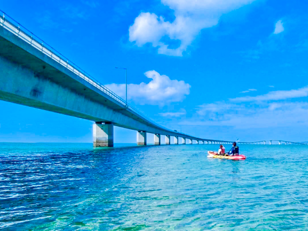 O͈ɗǕ勴_Ci~bNȃP[V