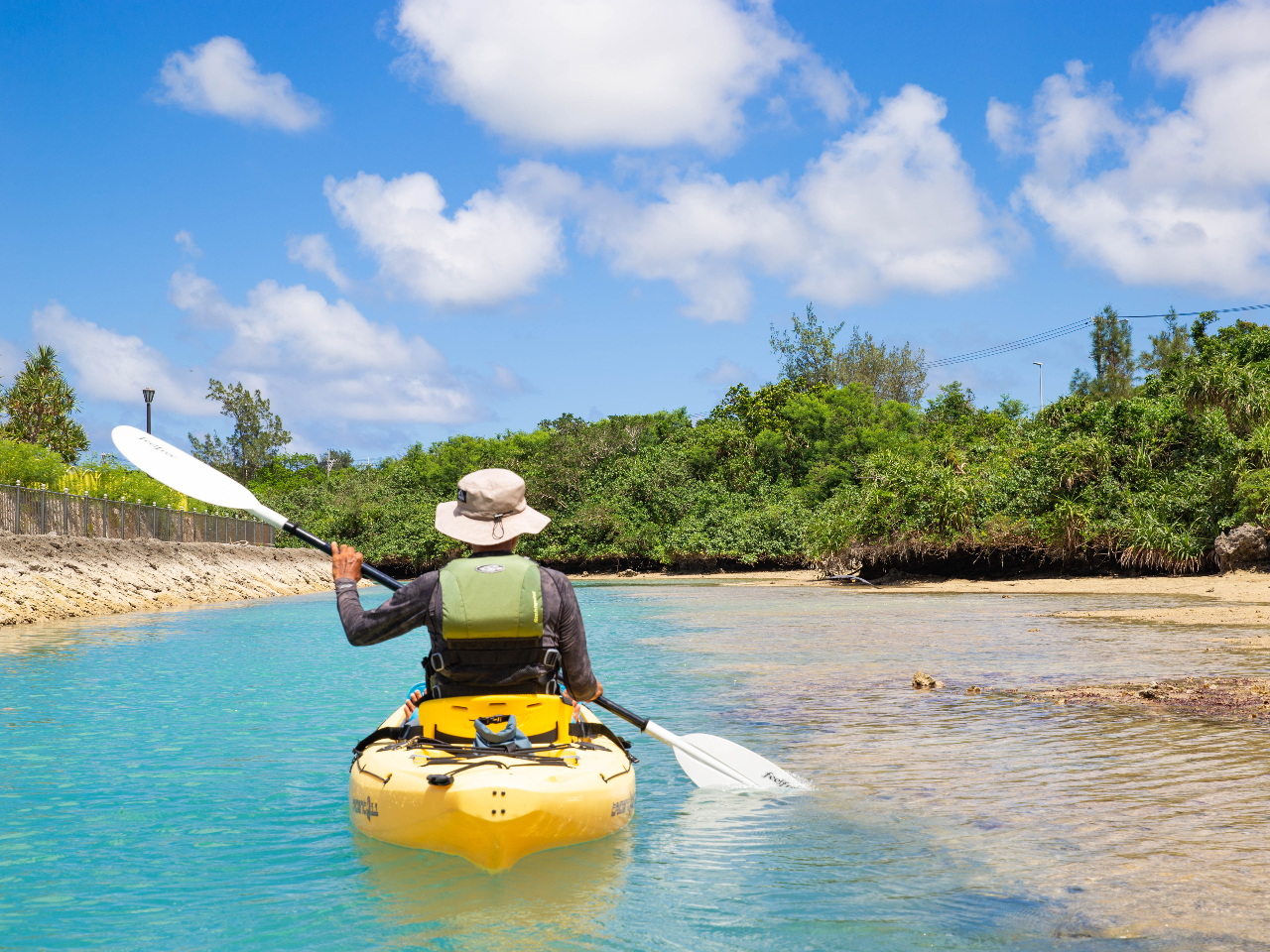 初心者やお子様連れでも安心！】トゥリバー自然探検カヤックツアー