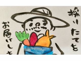 マーフィーズファーム★採りたてのお野菜をお届けいたします!詳しくはお問い合わせください♪