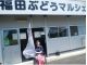 園主の福田智美です。皆様のお越しをお待ちしております。