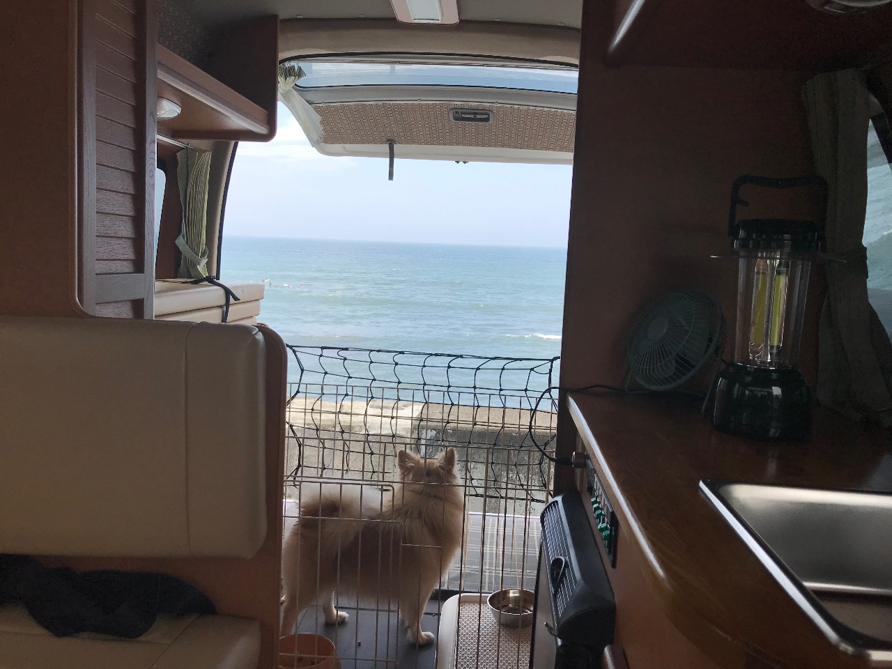 ツインズエースの車内。海辺でのBBQでもワンちゃんはのんびり海を眺めてます!