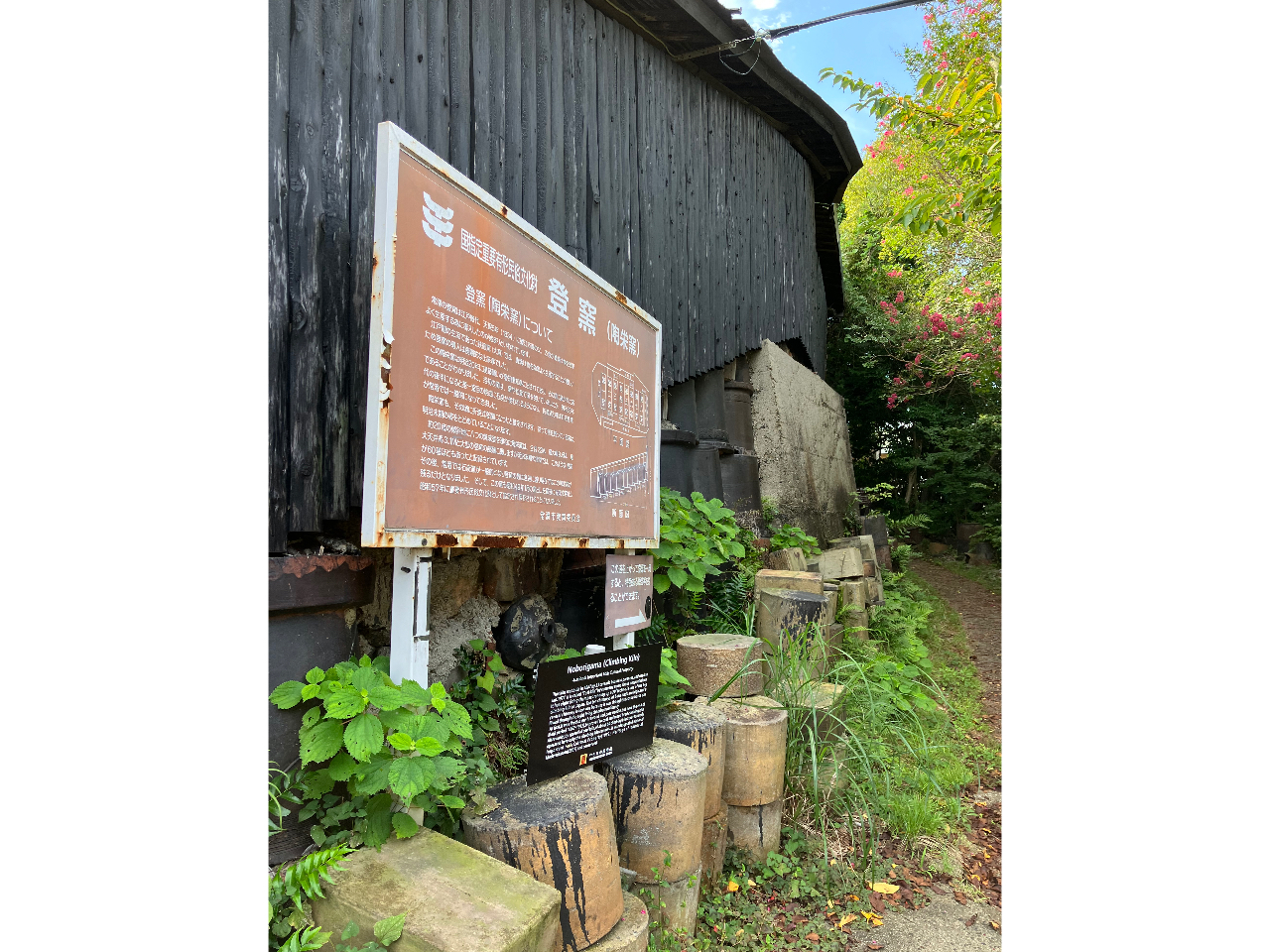 近くには明治20年に建てられた登窯があります。日本で現存する登窯では最大級のものになります。