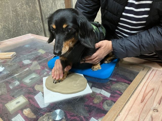 こんな感じで足形をとりましょう♪