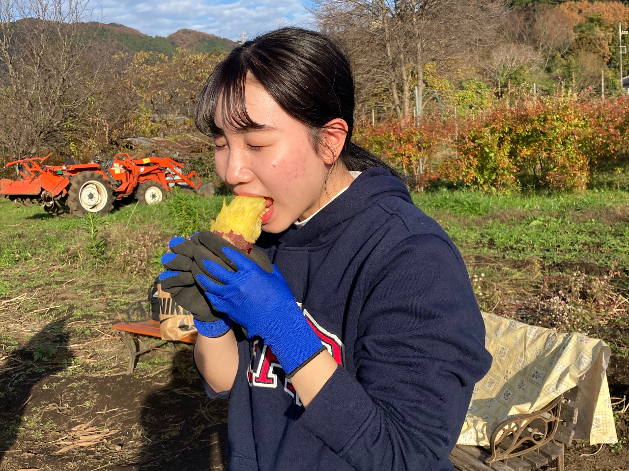 2025年開催！ダッチオーブンで焼き芋体験☆1人につきLサイズ相当のお芋